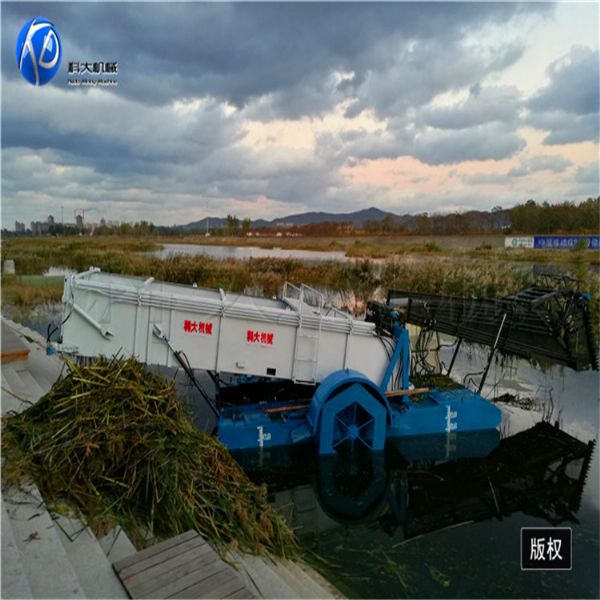 全自動(dòng)蘆葦收割船現(xiàn)場(chǎng)視頻及圖片